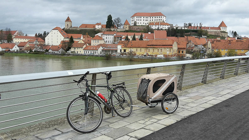 ptuj