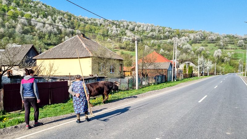 Ukrajina dedina Uzok
