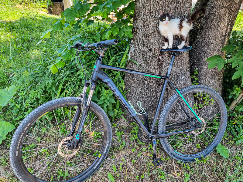 macka na bicykli v meste Fuzine