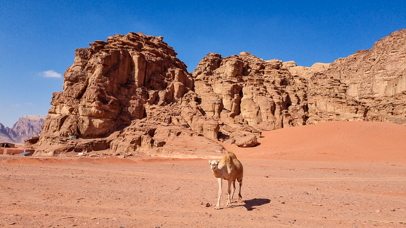 Tava vo Wadi Rum v Jordansku