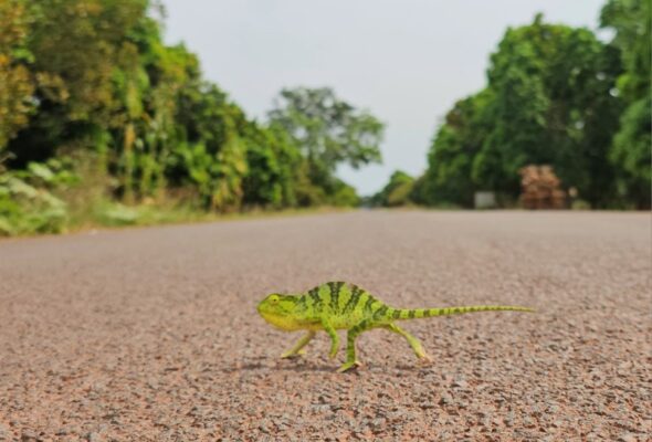 Africké denníky – Guinea Bissau