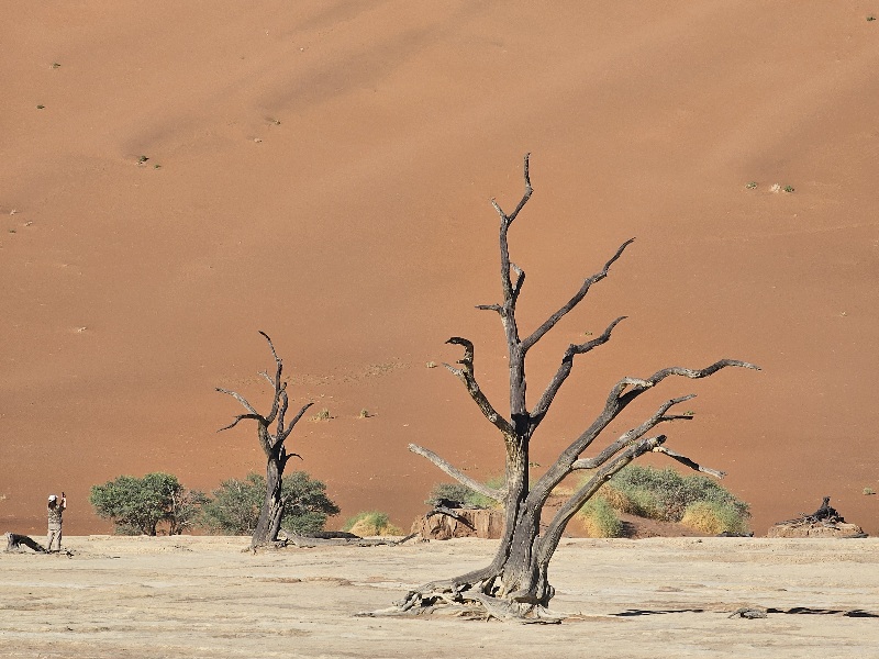Deadvlei